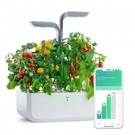 découvrez comment la domotique peut améliorer la santé de vos plantes d’intérieur grâce à des solutions automatisées pour l’arrosage, l’éclairage et le contrôle de l’humidité.