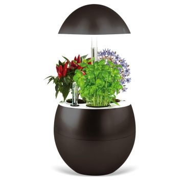 découvrez comment la domotique peut optimiser la santé de vos plantes d’intérieur grâce à des technologies intelligentes pour un entretien facile et efficace.