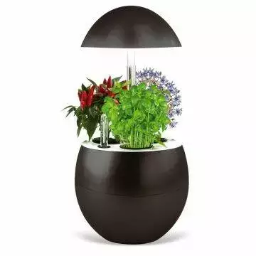 découvrez comment la domotique peut optimiser la santé de vos plantes d’intérieur grâce à des technologies intelligentes pour un entretien facile et efficace.