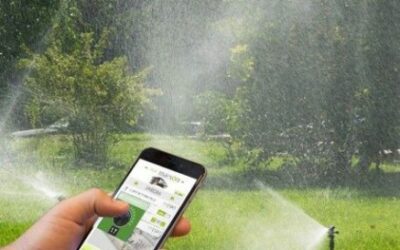 Surveillez la santé de vos plantes : le système domotique qui prend soin de votre jardin intérieur