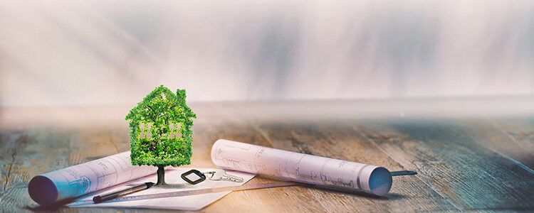 dĂ©couvrez des espaces innovants en immobilier tertiaire durable, alliant performance, Ă©cologie et bien-ĂȘtre pour des environnements de travail responsables et modernes.